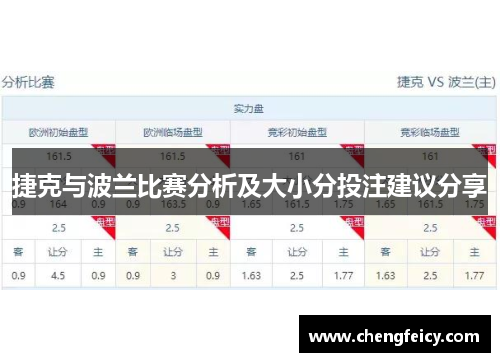 捷克与波兰比赛分析及大小分投注建议分享
